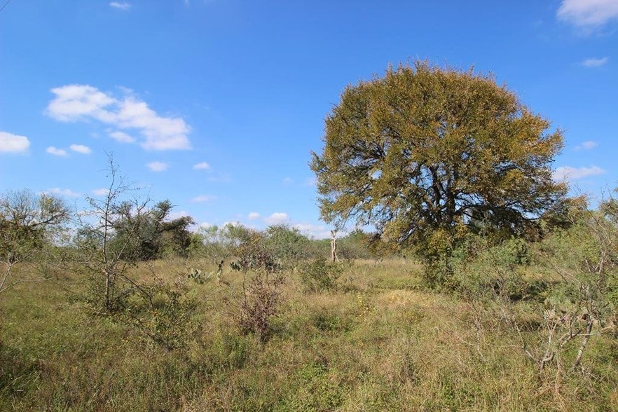 More Photos Of 1845 Silent Valley Rd, Lockhart Land For Sale