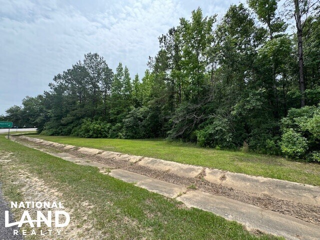 More Photos Of 0 Dead Lake Rd., Creola Land For Sale