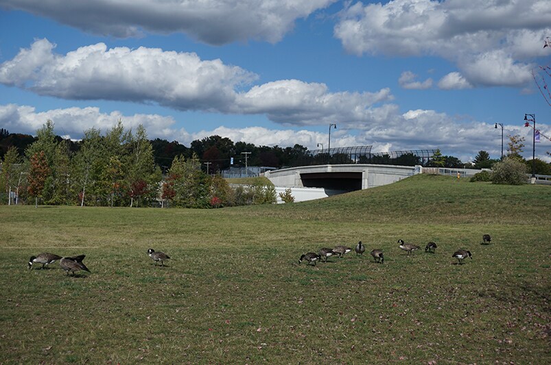 More Photos Of 81 Kellogg St, Pittsfield Land For Sale