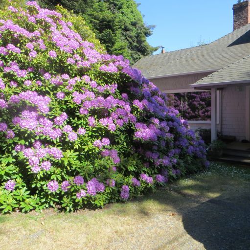 More Photos Of 6605 Sooke Rd, Sooke Land For Sale