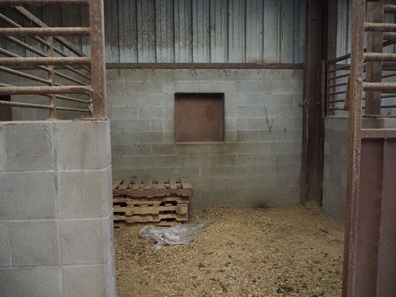 More Photos Of 1721 General Collins Ave, New Orleans Specialty For Sale