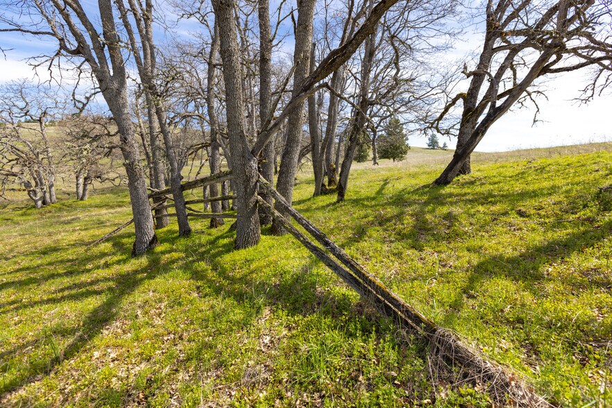 More Photos Of 60 Hartwig Road, Lyle Land For Sale