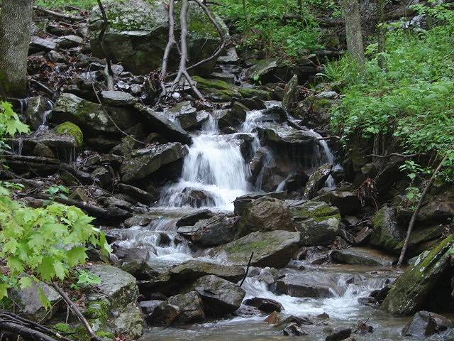 More Photos Of Songbird Ln, Green Sulphur Springs Land For Sale