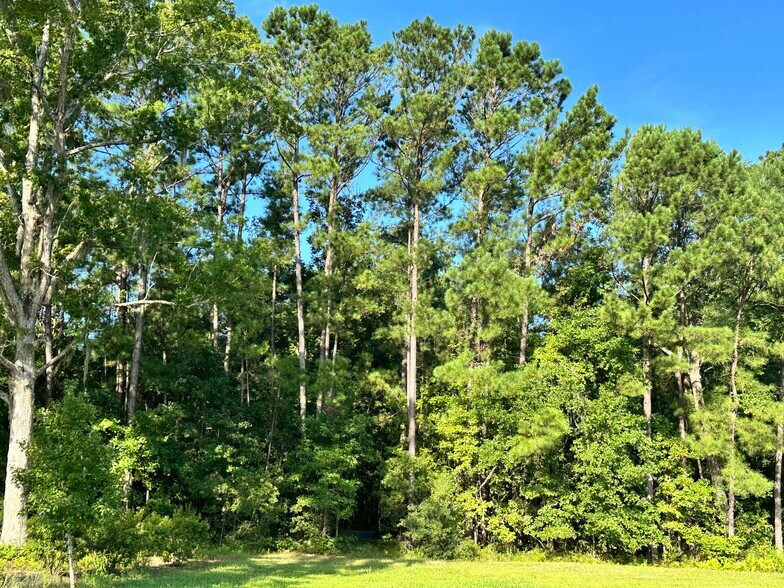 More Photos Of 5C N Okatie Hwy, Okatie Land For Sale
