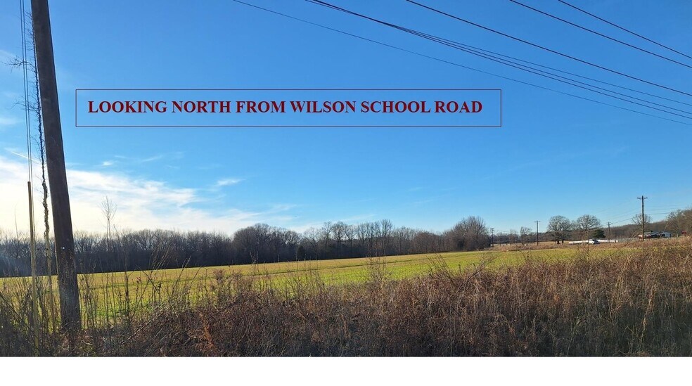 More Photos Of US-45 & Wilson School Rd, Henderson Land For Sale