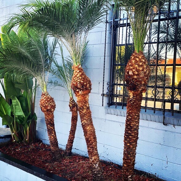 More Photos Of 1733 Border Ave, Torrance Light Manufacturing For Sale