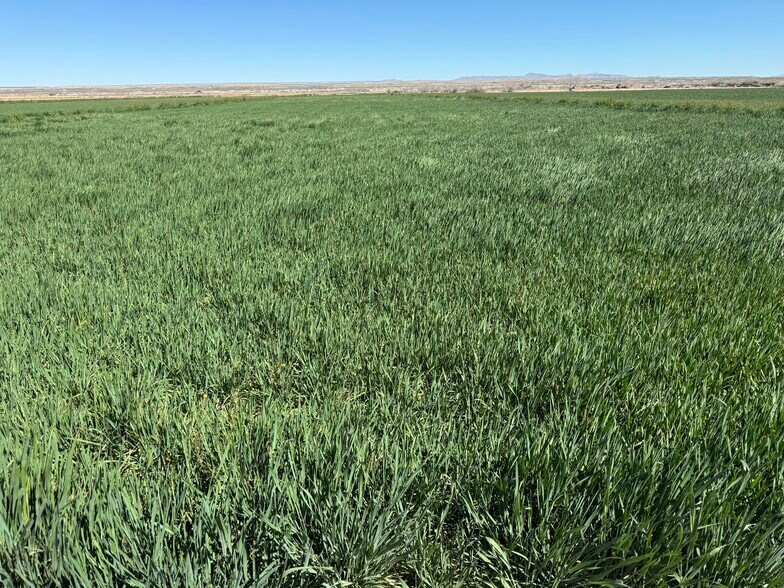 More Photos Of 16499 Wilkey rd, Fort Hancock Land For Sale