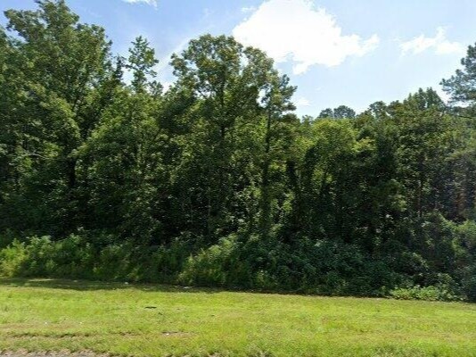 Primary Photo Of 7867 Alabama Hwy 79, Pinson Land For Sale