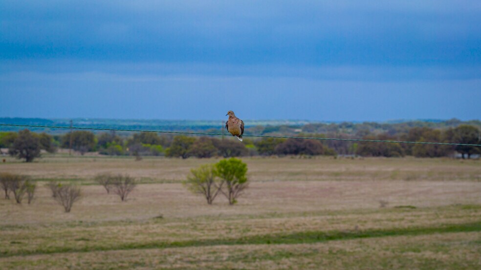 More Photos Of 348 Blau Ln, Hext Land For Sale