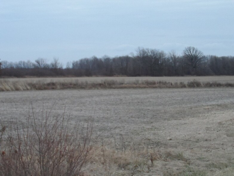 More Photos Of 1808 E Labo Rd, Carleton Land For Sale