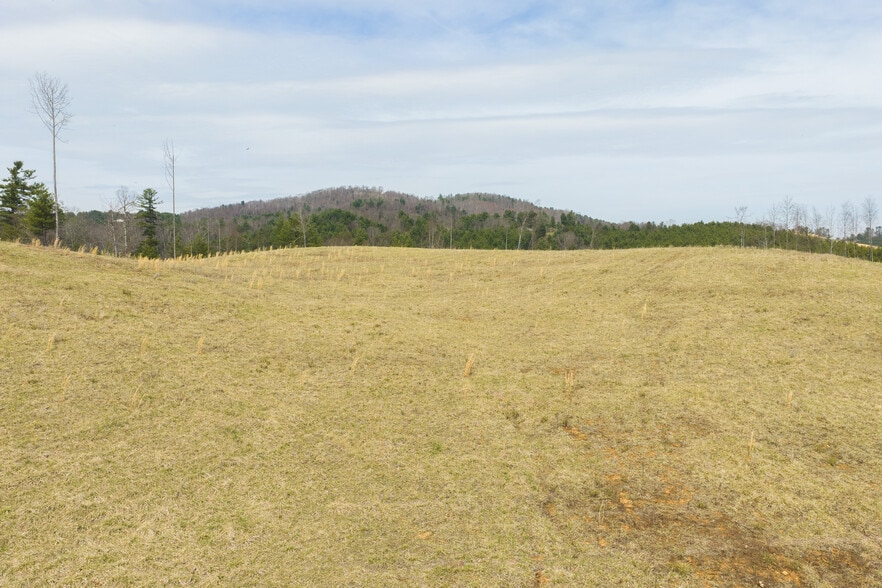 More Photos Of TBD Carsonville Road, Independence Land For Sale