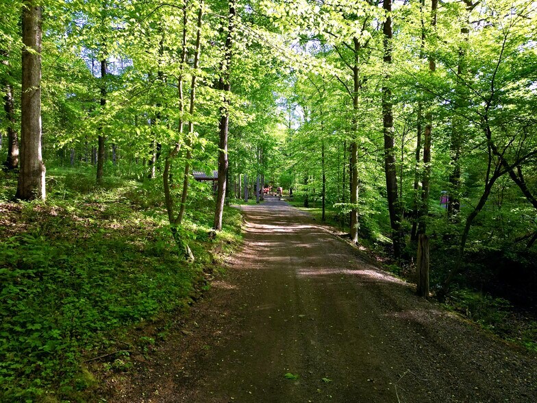 More Photos Of 3975 Jarman Hollow Rd, Palmyra Land For Sale