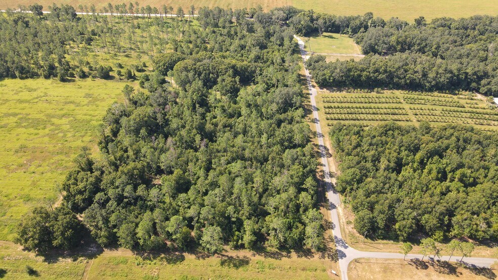 More Photos Of Amberlea Rd & Spring Branch Rd., Dade City Land For Sale