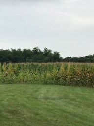 More Photos Of 48178 160th Ave, Pearl Land For Sale