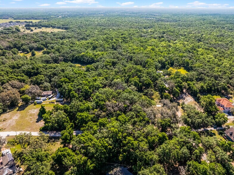 More Photos Of 3633 Panther Path Rd, Lutz Land For Sale