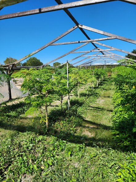 More Photos Of 3510 Walk in Water Rd, Lake Wales Winery Vineyard For Sale