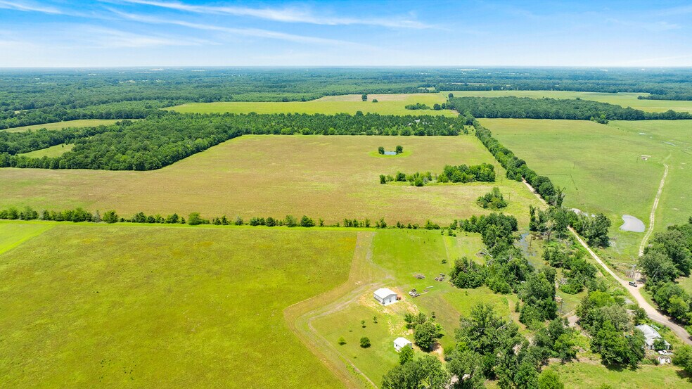 More Photos Of 449 County Road 1357, Clarksville Land For Sale