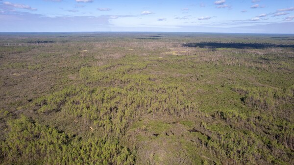 More Photos Of US Hwy 27 hwy, Perry Land For Sale