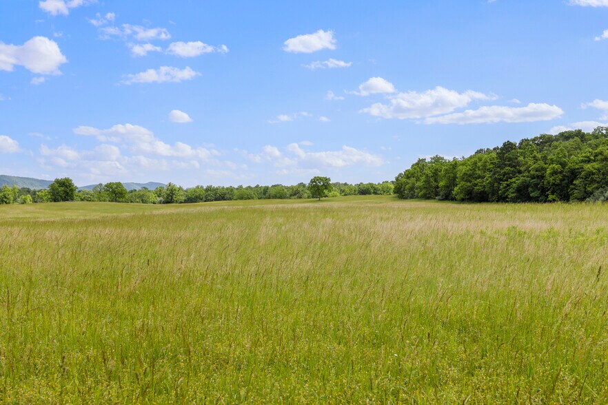 More Photos Of 3648 Dominion Rd, Gerrardstown Land For Sale