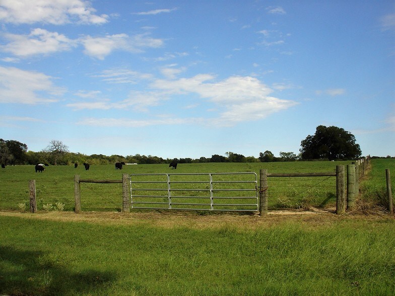 More Photos Of 53681 US 290 Hwy, Hempstead Land For Sale