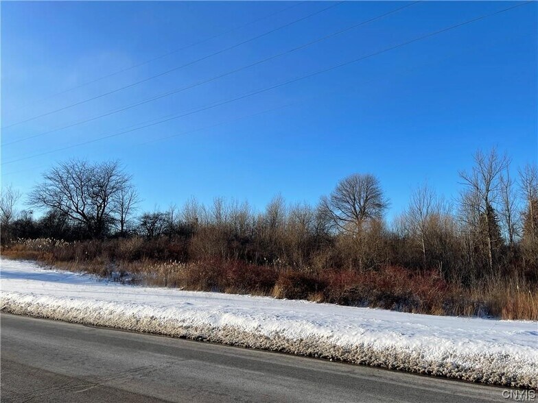 More Photos Of 101 Mitchell St, Oswego Land For Sale