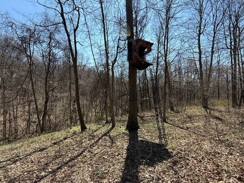 More Photos Of 0 Kragel Rd, Wintersville Land For Sale