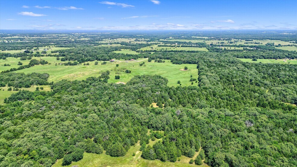 More Photos Of TBD CR 113, Whitesboro Land For Sale