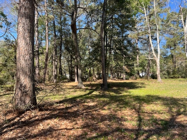 More Photos Of 13527 McComb Rd, Conroe Land For Sale