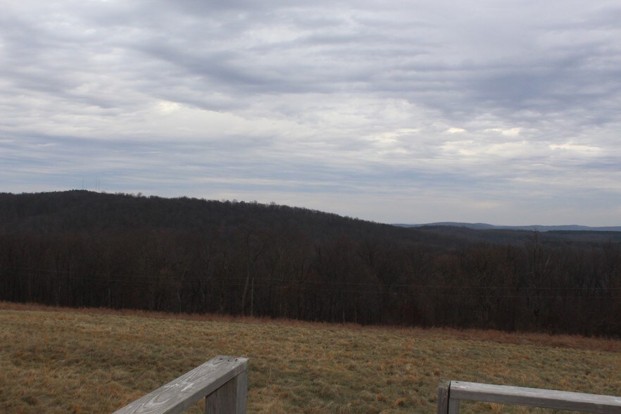 Primary Photo Of Bruce Johnson Rd, Herod Land For Sale
