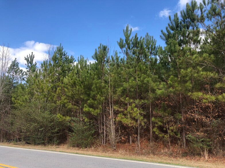 More Photos Of 4350 Ben HILL RD, Atlanta Land For Sale