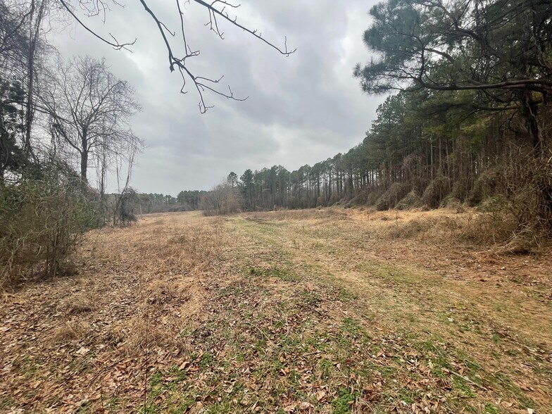 More Photos Of 0 Hwy 70 & Browns Church Road hwy, Jackson Land For Sale