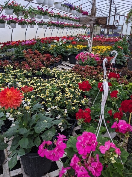 More Photos Of 73 Little York Rd, Warwick Garden Center For Sale