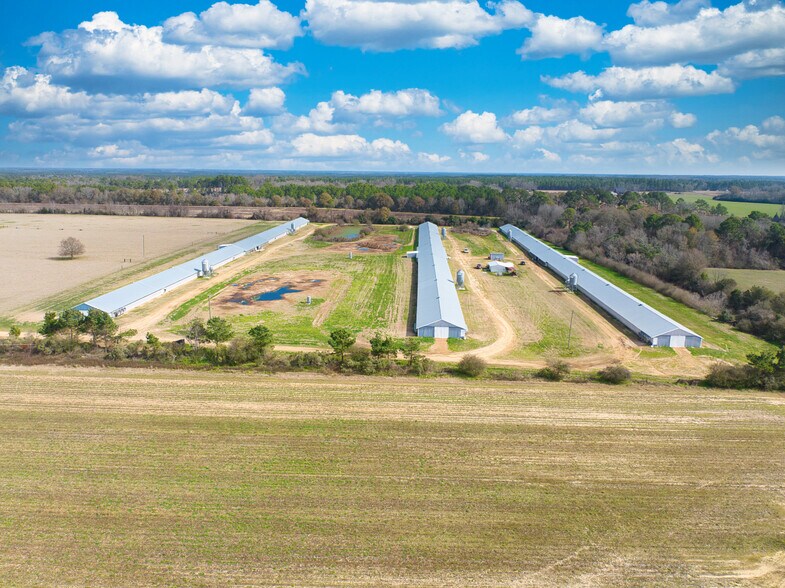 More Photos Of 441 Weaver Rd, Moultrie Land For Sale