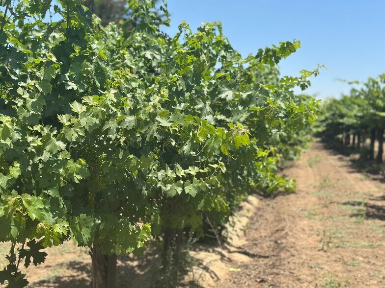 More Photos Of 17490 N Bruella Rd, Lodi Land For Sale