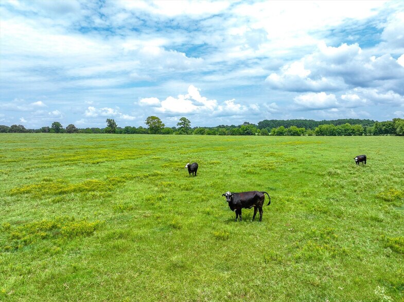 More Photos Of Tract 4 FM 855, Jacksonville Land For Sale