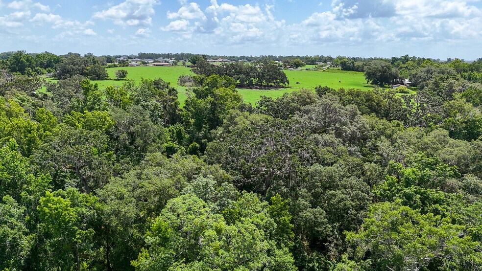 More Photos Of 14409 Curley Rd, Dade City Land For Sale