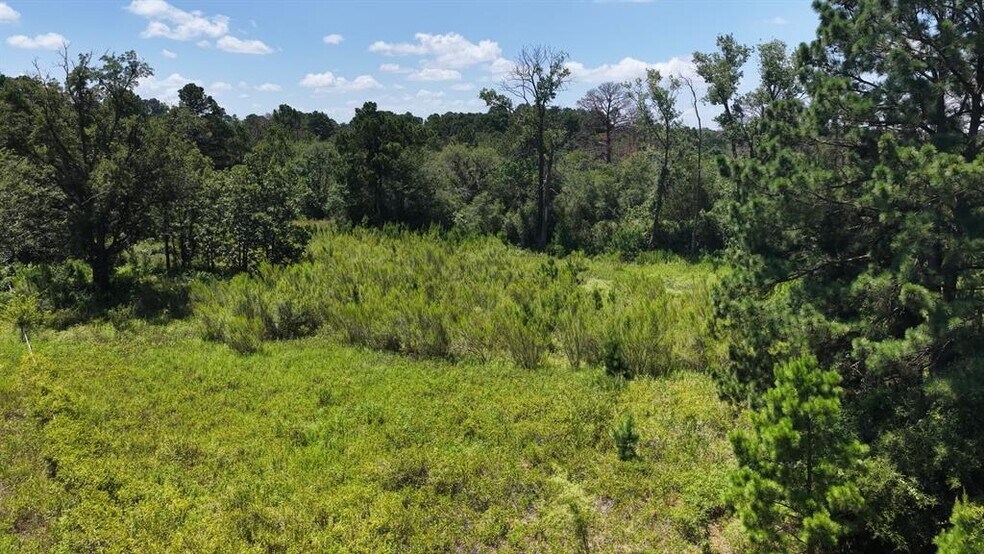 More Photos Of 379 Matthew Cv, Bastrop Land For Sale