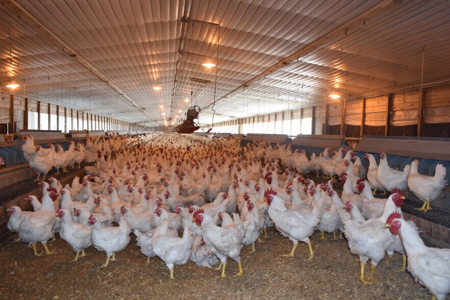 Primary Photo Of 441 Weaver Rd, Moultrie Land For Sale