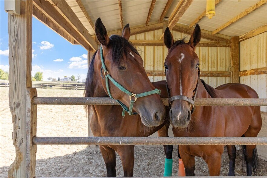 More Photos Of 7233 National Rd, Thornville Horse Stables For Sale