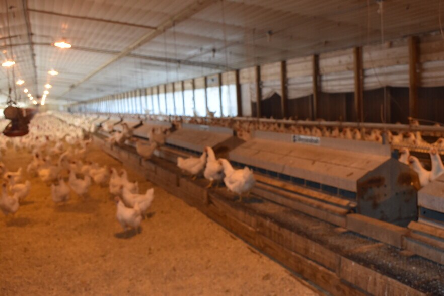 More Photos Of 441 Weaver Rd, Moultrie Land For Sale