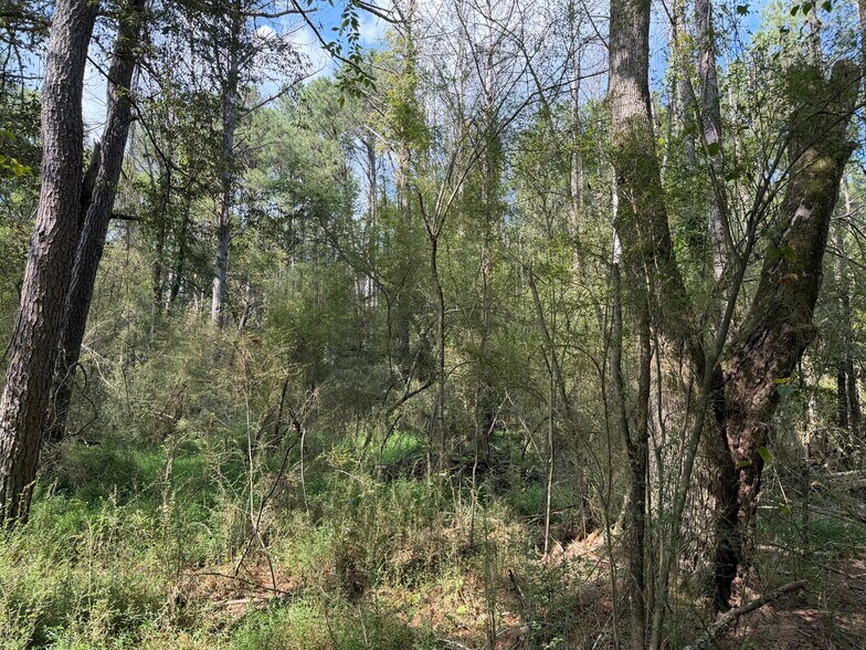 More Photos Of 107 Popham rd, Taylorsville Land For Sale