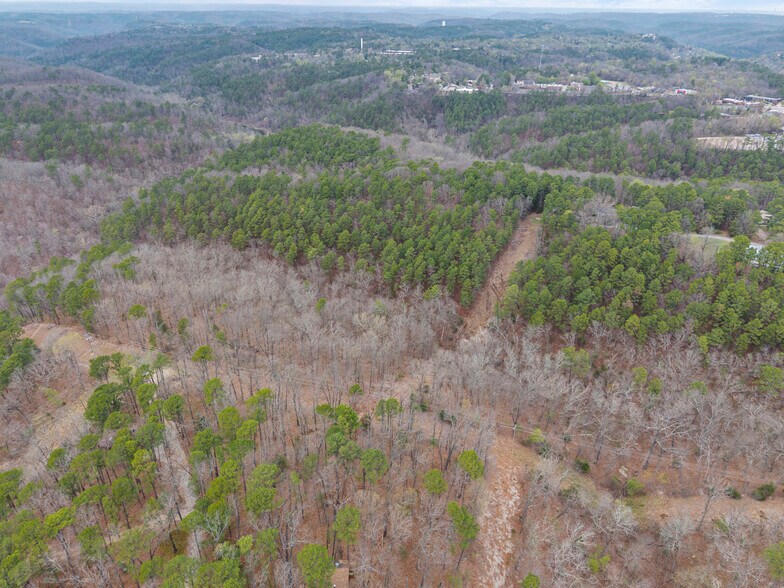 More Photos Of 0 Jordan Drive, Eureka Springs Land For Sale