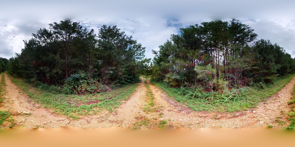 More Photos Of 0 Waters Dr, Ringgold Land For Sale