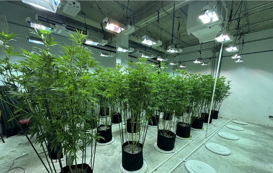 More Photos Of Km 0.2 Carr 887, Carolina Warehouse For Sale