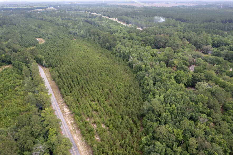 More Photos Of 425 Old River Rd, Bloomingdale Land For Sale
