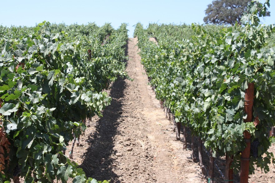 More Photos Of , Paso Robles Unknown For Sale