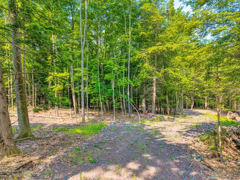 More Photos Of Boulder Brook Rd, Windham Land For Sale