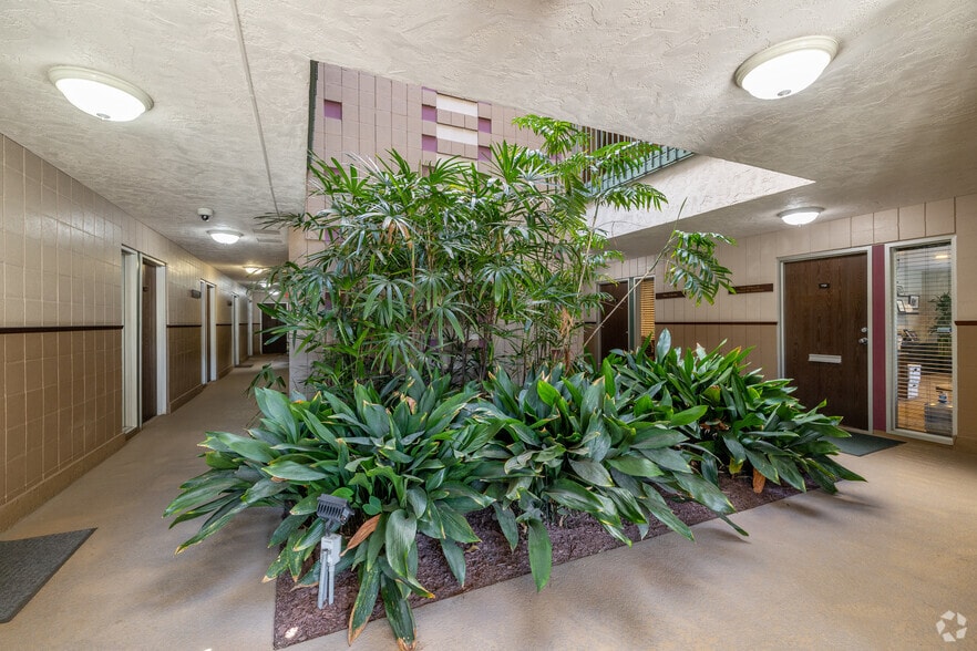 More Photos Of 4045 Bonita Rd, Bonita Office For Lease