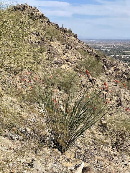 More Photos Of E Glen Drive Road, Paradise Valley Land For Sale