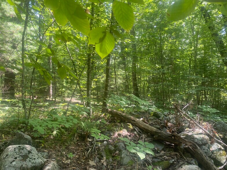 More Photos Of Thresher Rd, Hardwick Land For Sale